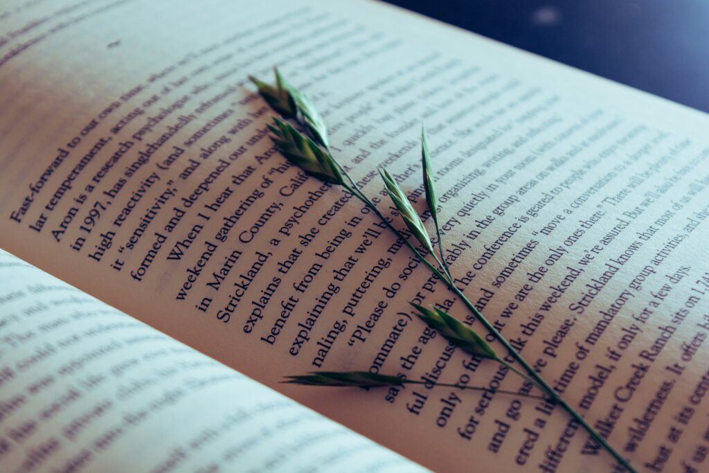 steffi-pereira-czjMNwmYlYg-unsplash